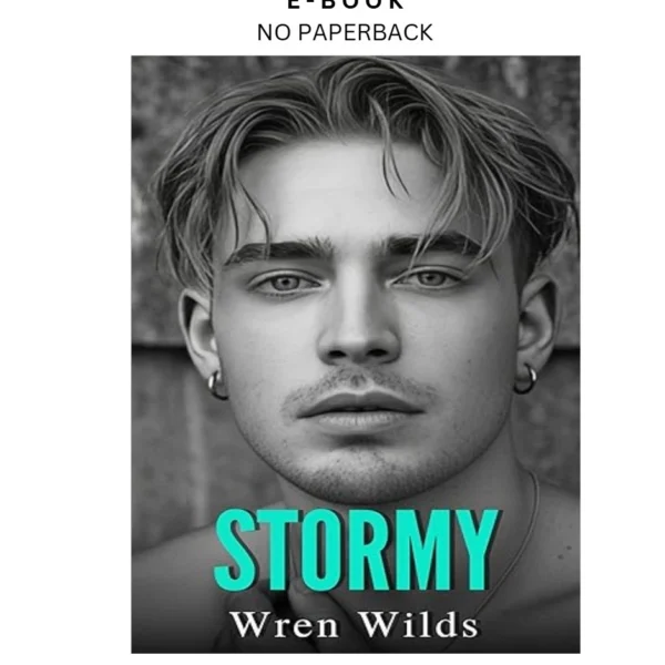 Stormy: An M/M Romance Ebook by Wren Wilds | Instant Download – book cover ebook