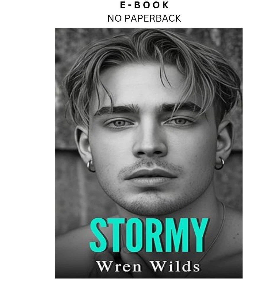 s-l1600-1443.webp Stormy: An M/M Romance Ebook by Wren Wilds | Instant Download – book cover ebook