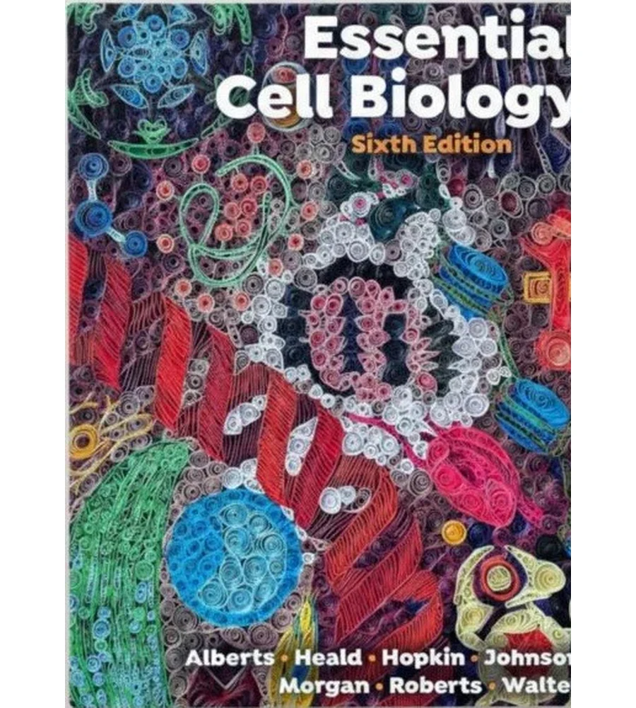 Essential Cell Biology 6th Edition Ebook - Alberts, Heald, Hopkin, Johnson, Morgan, Roberts & Walter | Instant Download – | Instant Download Essential Cell Biology 6th Edition by Alberts, Heald, Hopkin, Johnson, Morgan, Roberts & Walter - book cover