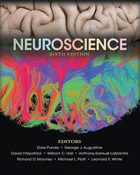 neuroscience-6th-edition-6thed-1-1.webp Neuroscience 6th Edition Ebook - Purves, Augustine, Fitzpatrick, Hall et al | Instant Download