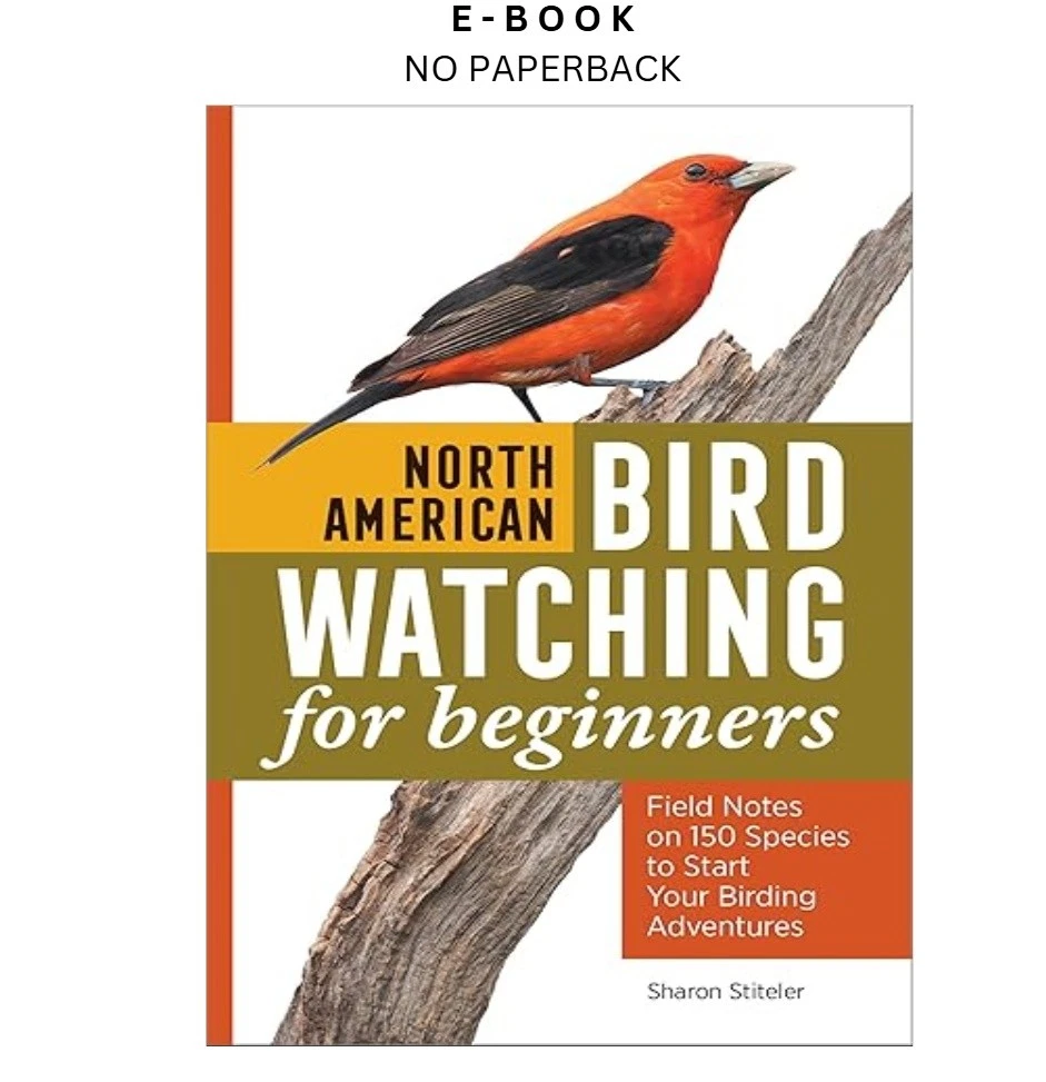 north-american-bird-watching-for-beginners-ebook-sharon-stiteler-instant-download.webp North American Bird Watching for Beginners Ebook – Sharon Stiteler | Instant Download